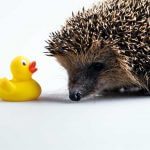 Das Gel-Vital-Gelbett® ist unkaputtbar
